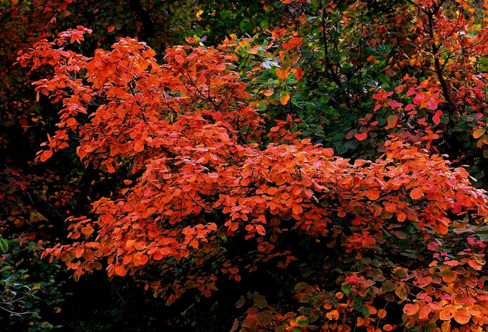 2015-10-10_125405