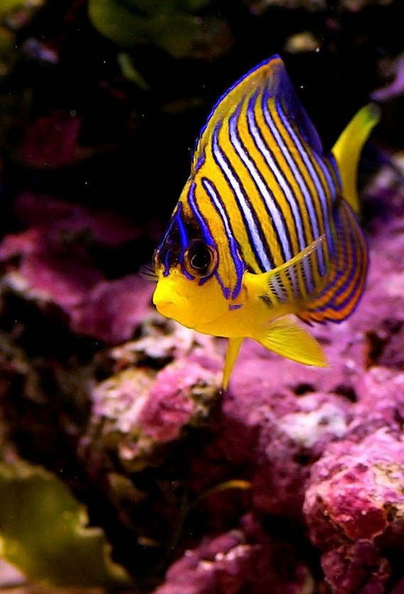 2015-06-19_195922