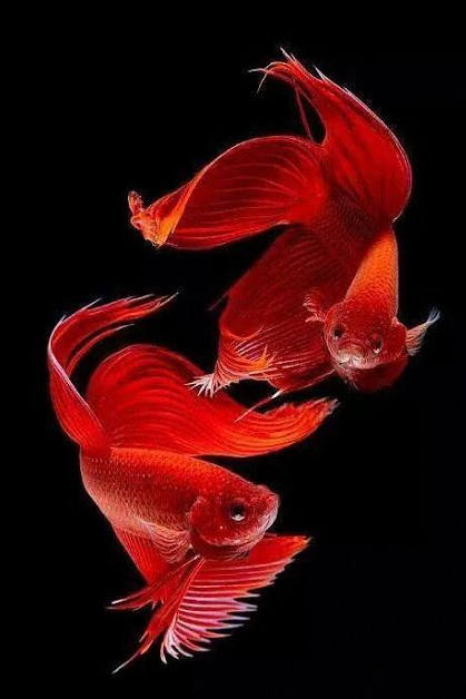 2015-06-19_200430