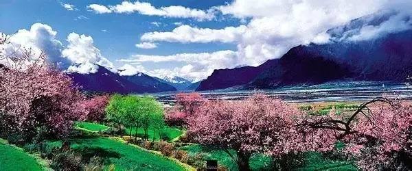 20150420_220202_567geimian