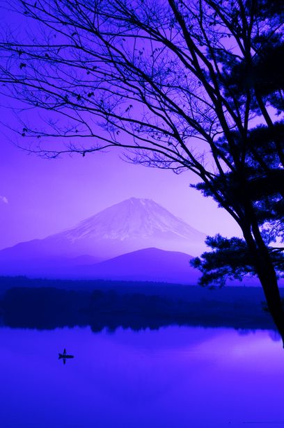 8129f67fd67f00a5ecc7e52ffd1adee8