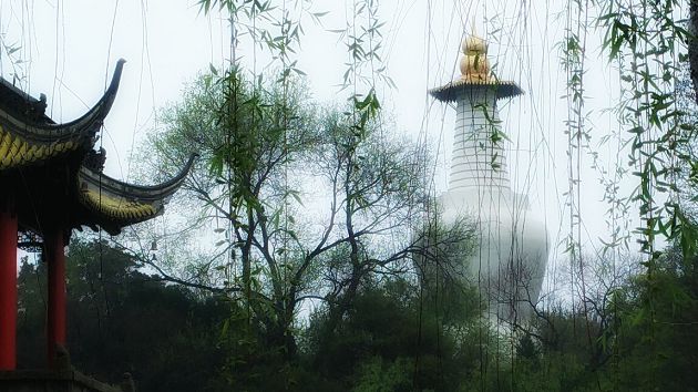 春来雨润 瘦西湖